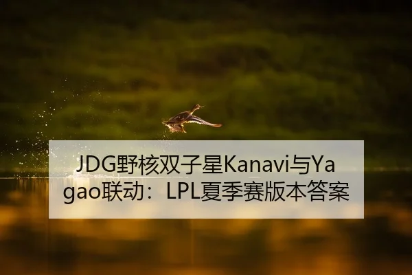 JDG野核双子星Kanavi与Yagao联动：LPL夏季赛版本答案