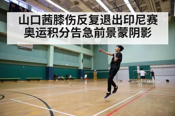 badminton court action