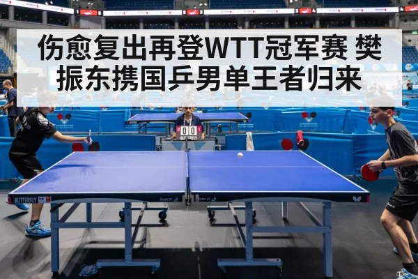 伤愈复出再登WTT冠军赛 樊振东携国乒男单王者归来