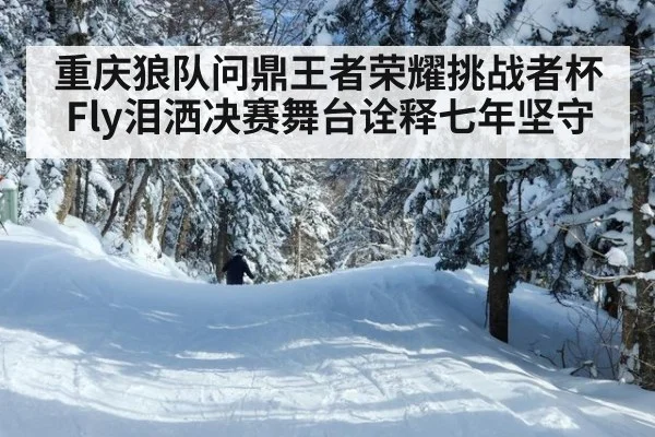 重庆狼队问鼎王者荣耀挑战者杯 Fly泪洒决赛舞台诠释七年坚守